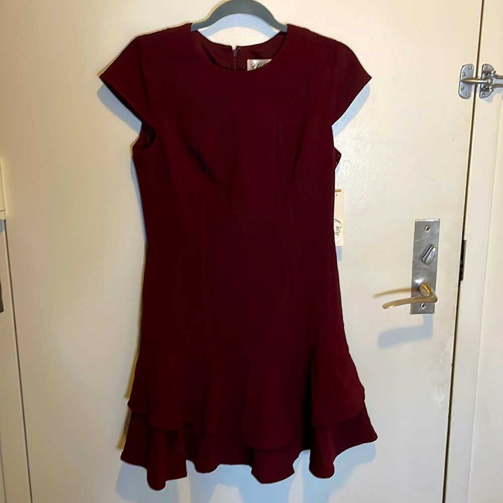 Eliza J Burgundy Dress